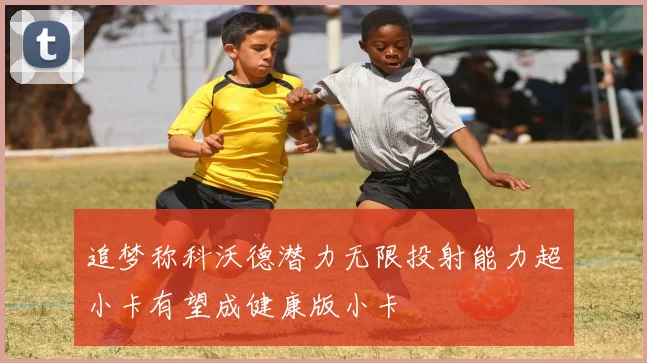 追梦称科沃德潜力无限投射能力超小卡有望成健康版小卡