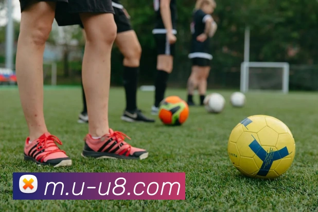 u8国际平台生态图